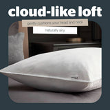 Silentnight Hungarian goose feather and down medium pillow, UK version