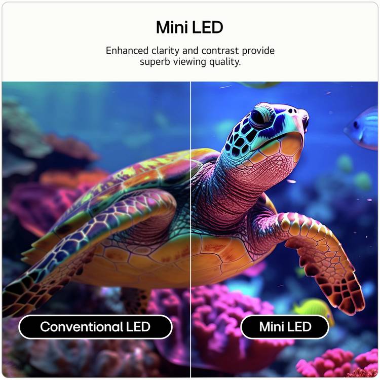 LG 50 inch 50QNED7EB3C Mini LED 4K TV, UK version