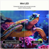LG 50 inch 50QNED7EB3C Mini LED 4K TV, UK version