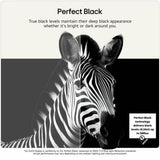 LG OLED 83 inch smart 4K TV - British product