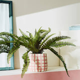Argos Artificial Green Fern in Gingham Ceramic Pot - 33cm- Buy online at McGrocer