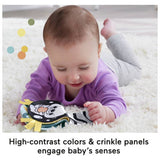Fisher-Price 2in1 Rockin' Tummy Time Otter plush sensory toy, UK version