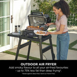 Ninja Woodfire Pro XL electric BBQ grill with cover - British product