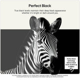 LG OLED55B6ELC 55 inch 4K OLED TV - British product