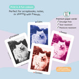 Kiimento kids instant print camera blue, imported from the UK