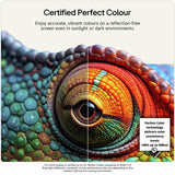 LG OLED evo AI C6 42-inch 4K TV, UK version