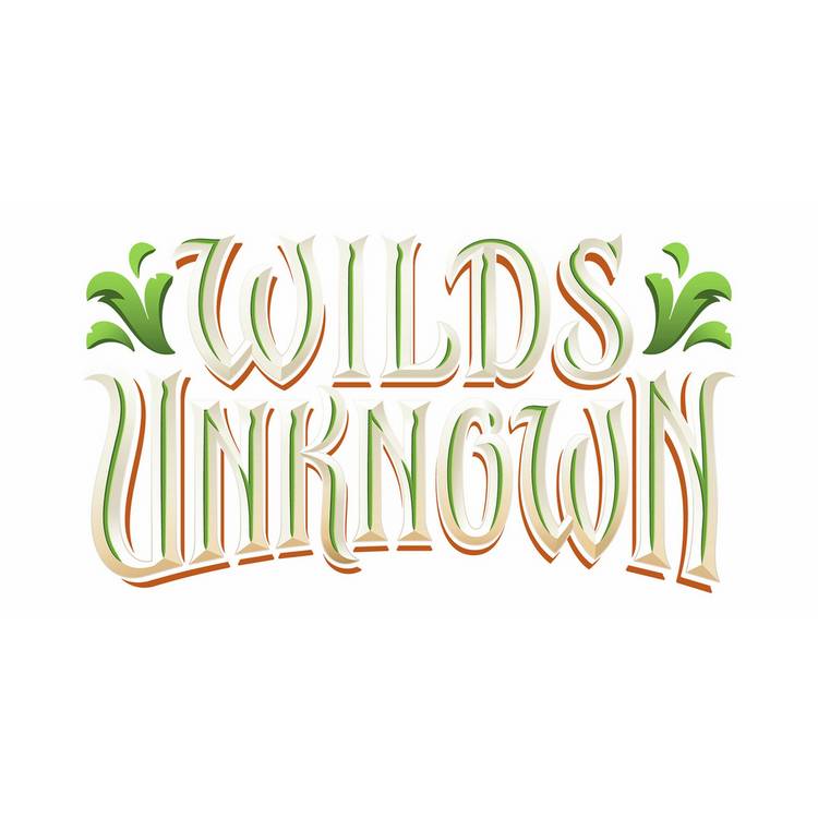 Disney Lorcana Wilds Unknown booster pack, UK version