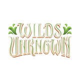 Disney Lorcana Wilds Unknown booster pack, UK version