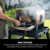 Ninja Woodfire Electric Outdoor Oven Terracotta with cover - British product