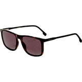 Carrera brown sunglasses CARRERA231 model (British brand)