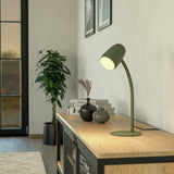 EGLO Carlo green desk lamp with adjustable neck - British product