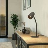 Argos EGLO Carlo Modern Steel Flexible Desk Lamp - Black- Buy online at McGrocer