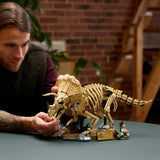 LEGO dinosaur skeleton model Triceratops set 77985 - British product
