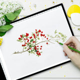 PureLite LED Light Pad natural daylight A3 - British product