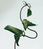 LOEWE Honeysuckle Chandelier Candle, UK version