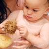 SpongeBox EcoSoft sheep wool baby sponge 4-4.5 inches (British brand)