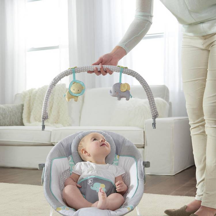 Ingenuity Morrison soothing baby bouncer (British brand)