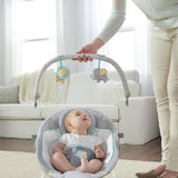 Ingenuity Morrison soothing baby bouncer (British brand)