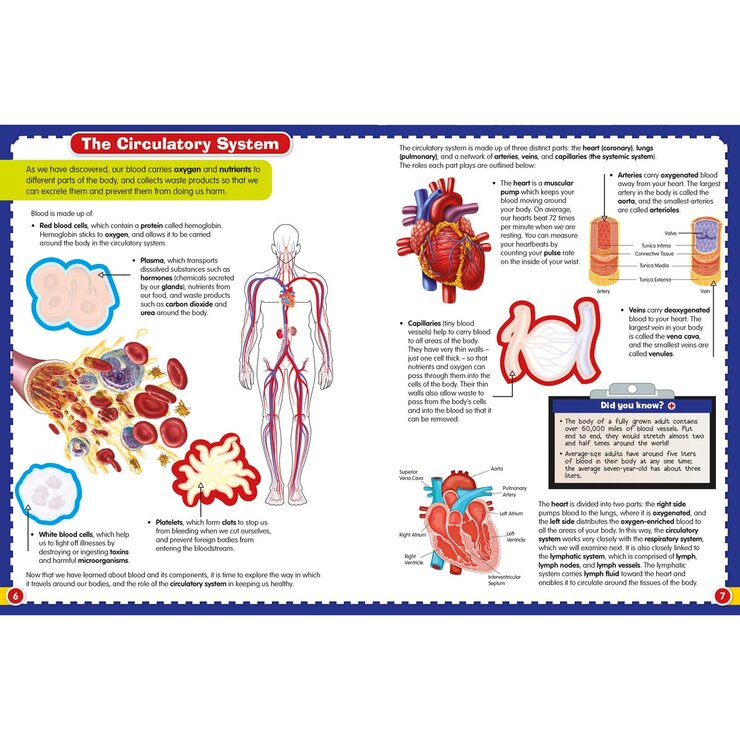 Wonders of Learning activity book with stickers or puzzles - British product