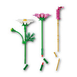 LEGO Botanicals Cosmos Flowers building set, UK version