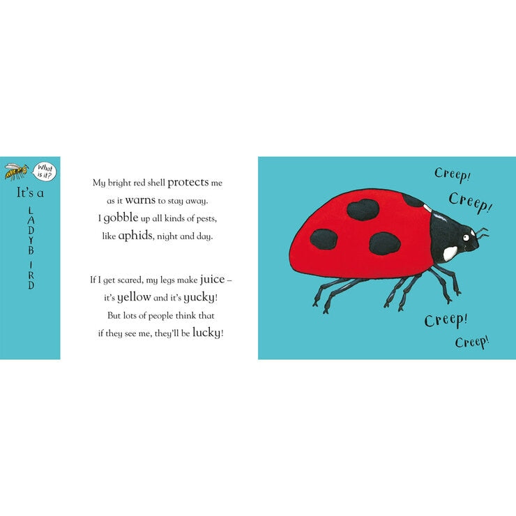 Axel Scheffler flip flap books 2+ years (British brand)