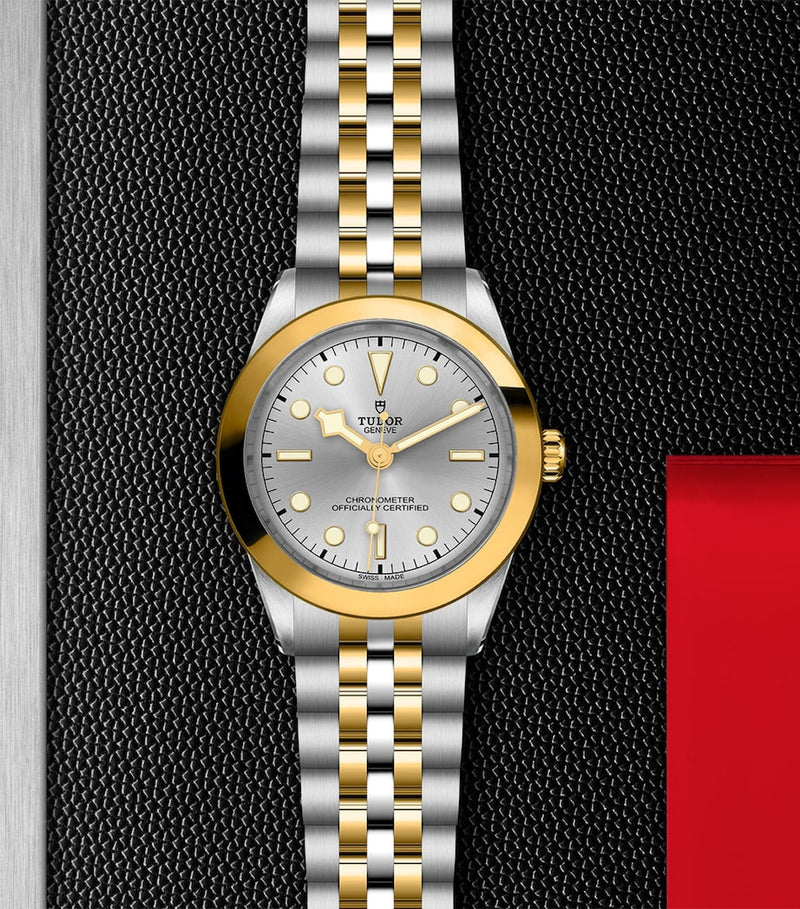 TUDOR Black Bay One diving watch stainless steel yellow gold 39mm, imported from the UK