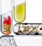 Noble Panacea eye lift concentrate 3ml, imported from the UK