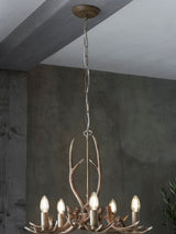 Next Natural Antler 5 Light Ceiling Light Fitting- Buy online at McGrocer