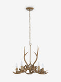 Natural antler ceiling light 5-light fitting, UK version