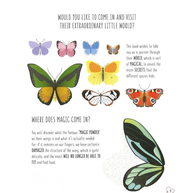 Children's hardback bee and butterfly book, UK version