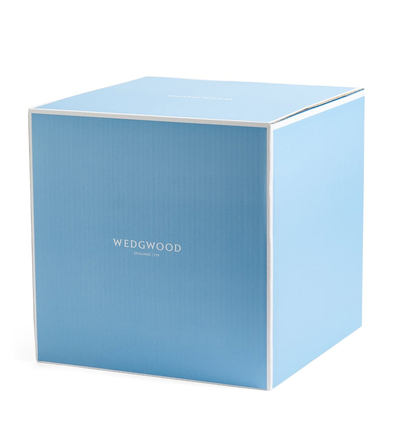 Wedgwood Gio dinnerware set 12-piece, imported from the UK