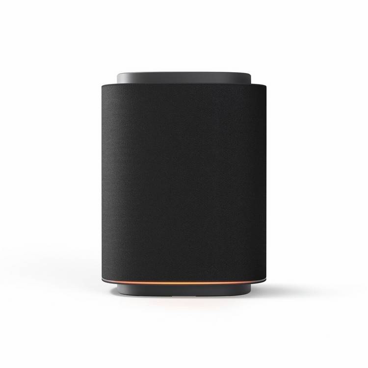 LG Sound Suite M5 satellite speaker black - British product
