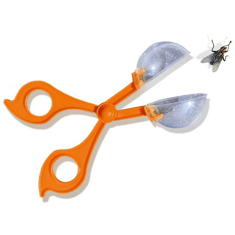 SES Creative Insect Explorer multicolour set, imported from the UK