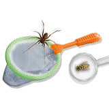 SES Creative Insect Explorer multicolour set, imported from the UK