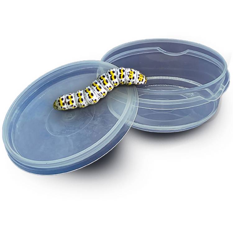 SES Creative Insect Explorer multicolour set, imported from the UK