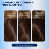 Clairol Permanent Hair Dye 5C Medium Cool Brown - British product