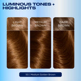 Clairol Nice'n Easy Permanent Hair Dye 5G Medium Golden Brown