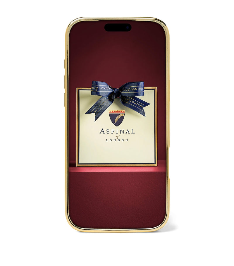 Aspinal of London leather iPhone 17 Pro case, UK version