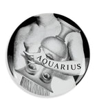 Fornasetti Zodiaco No. 358 wall plate 26cm - British product