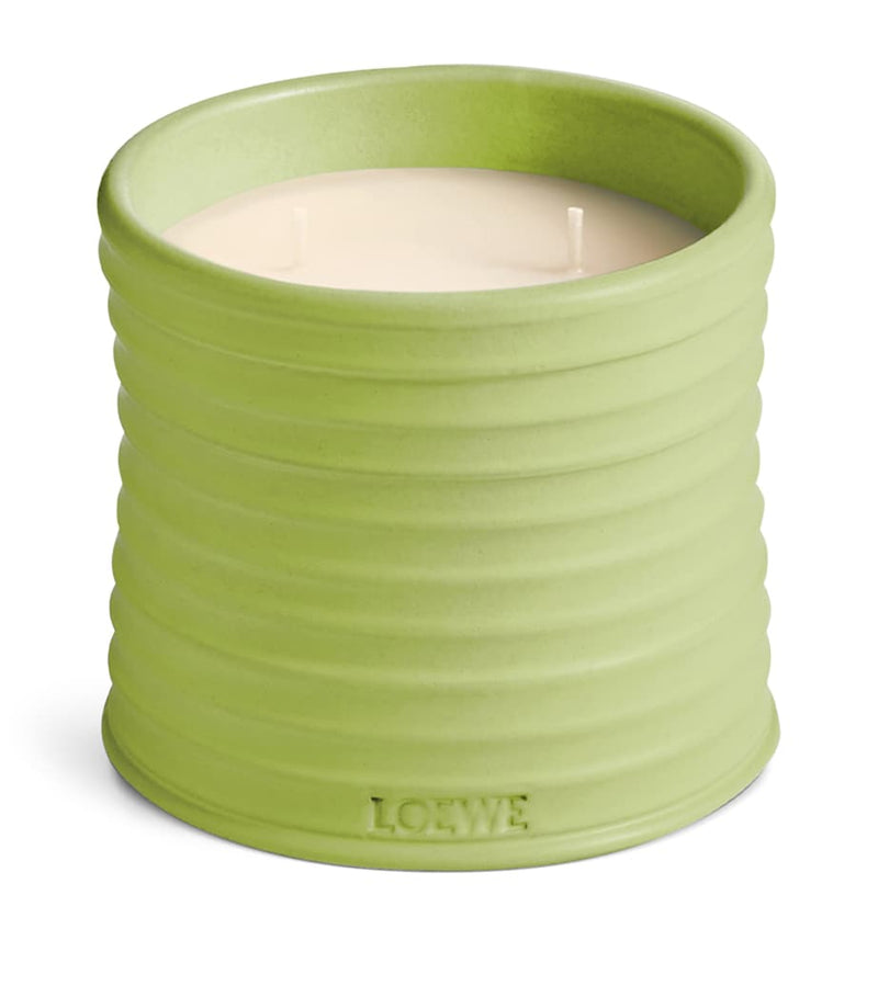LOEWE medium cucumber scented candle, UK version