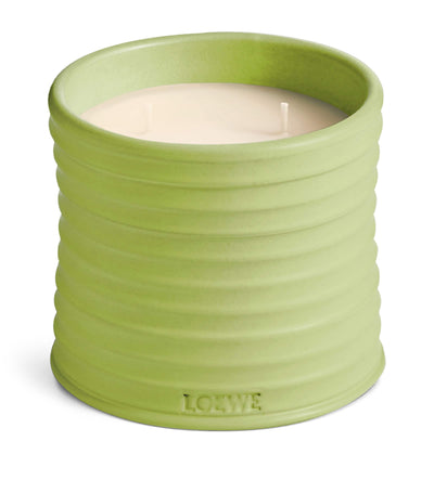 Harrods LOEWE Medium Cucumber Scented Candle- Buy online at McGrocer
