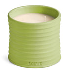 LOEWE medium cucumber scented candle, UK version
