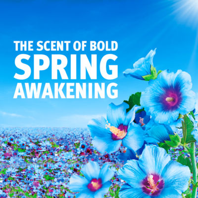 Bold Spring Awakening laundry detergent 44 washes, UK version