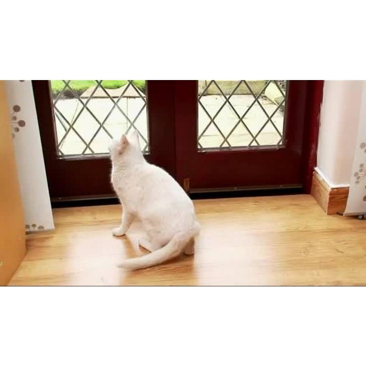 PetSafe Staywell Classic cat flap white (British brand)