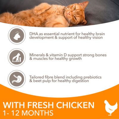 Iams Advanced Nutrition kitten dry cat food chicken 800g, UK version