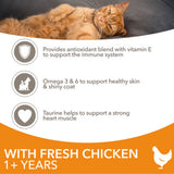 Iams dry cat food chicken 2kg bag (British brand)