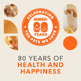 Iams senior dry cat food chicken 2kg (British brand)