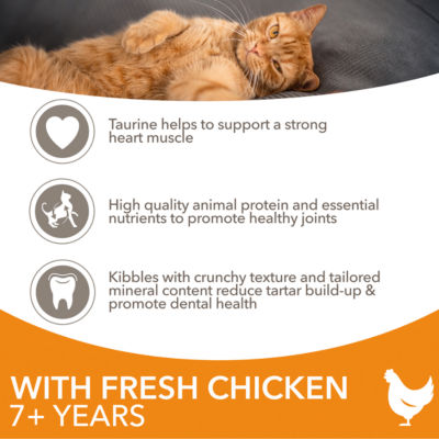 Iams senior dry cat food chicken 2kg (British brand)