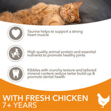 Iams senior dry cat food chicken 2kg (British brand)