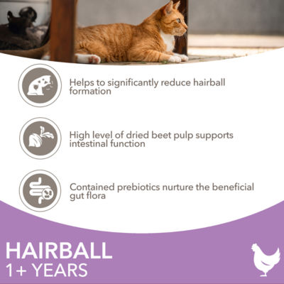 Iams hairball dry cat food chicken 800g, UK version
